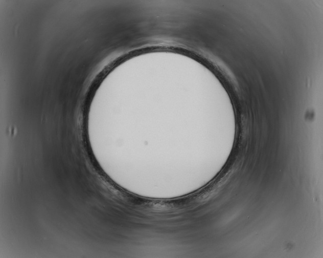 X0000101671318200808071035