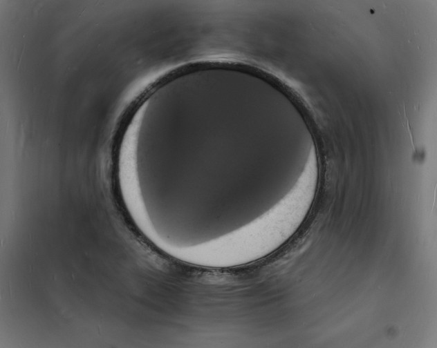 X0000101671319200808071035