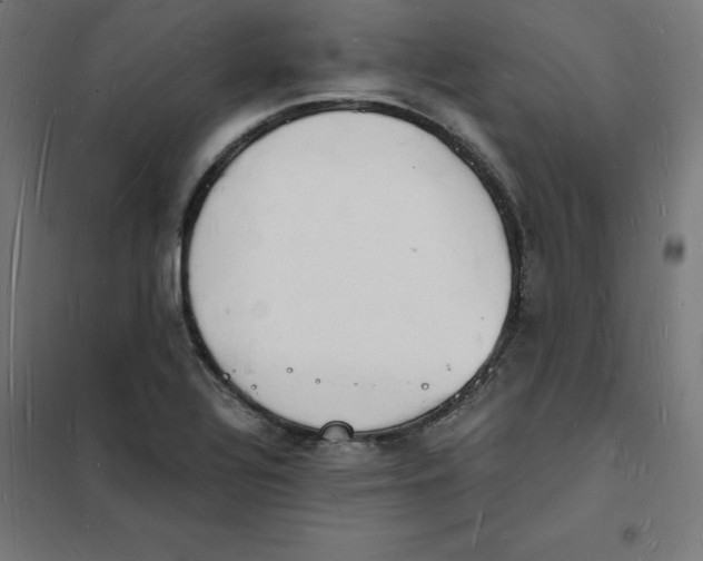 X0000101671320200808071035