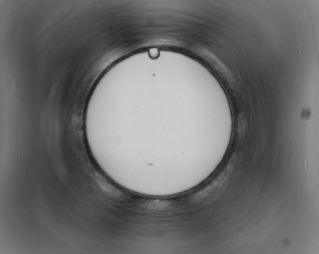 X0000101671321200808071035