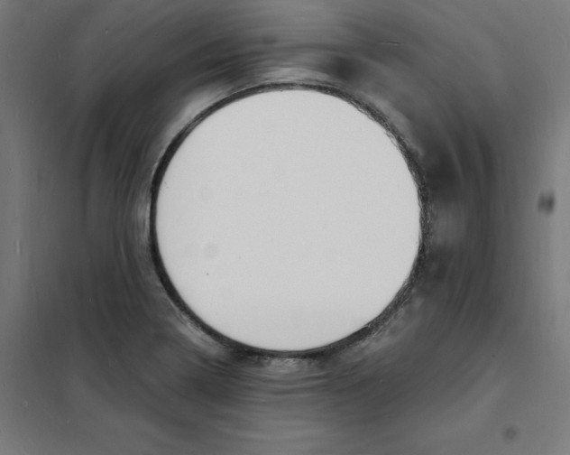 X0000101671322200808071035