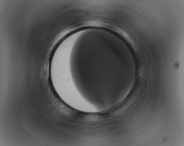 X0000101671323200808071035