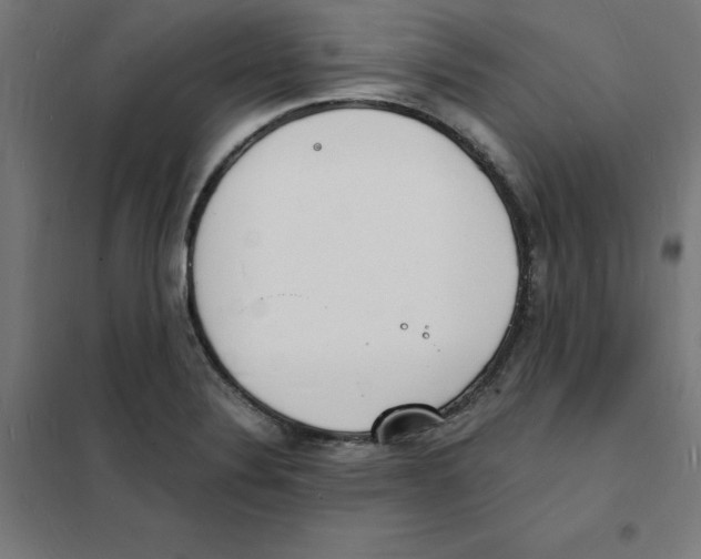 X0000101671324200808071035