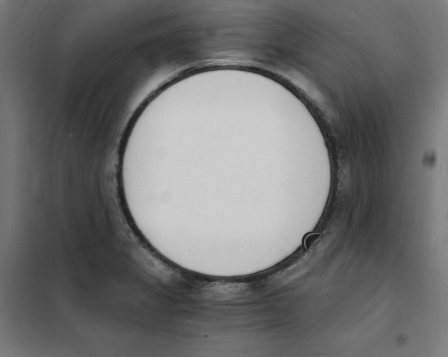 X0000101671325200808071035