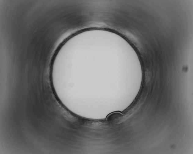 X0000101671326200808071035