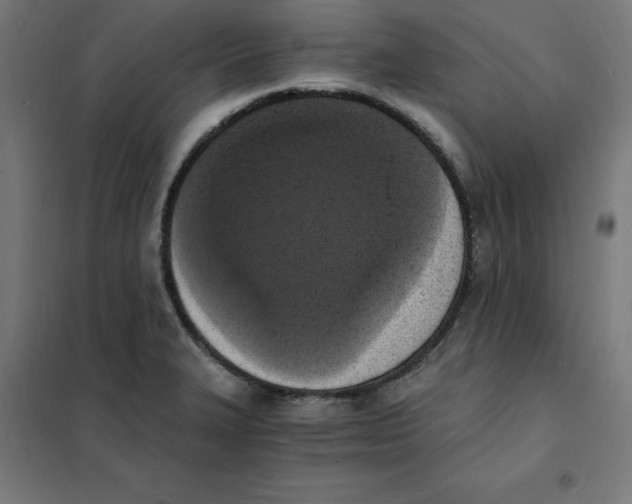X0000101671327200808071035