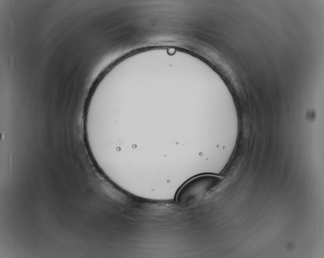 X0000101671328200808071035