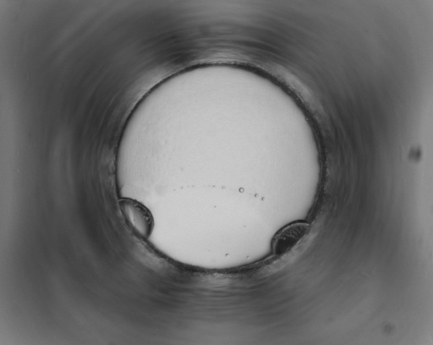 X0000101671329200808071035