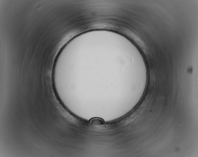 X0000101671330200808071035
