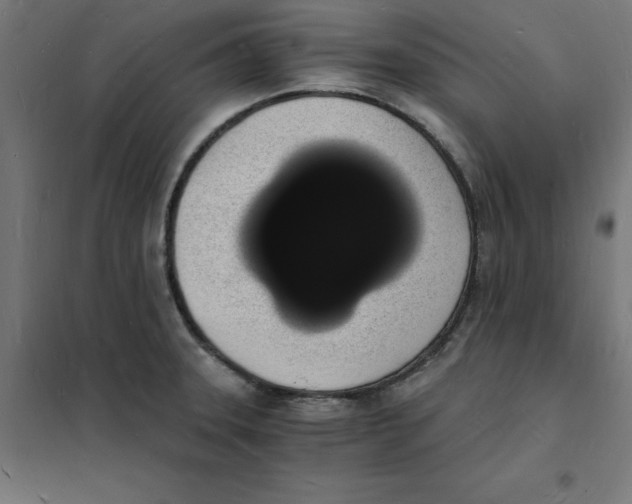 X0000101671331200808071035