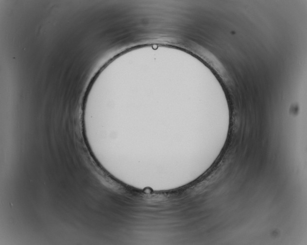 X0000101671332200808071036