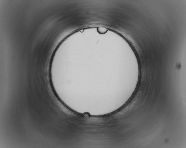 X0000101671333200808071036