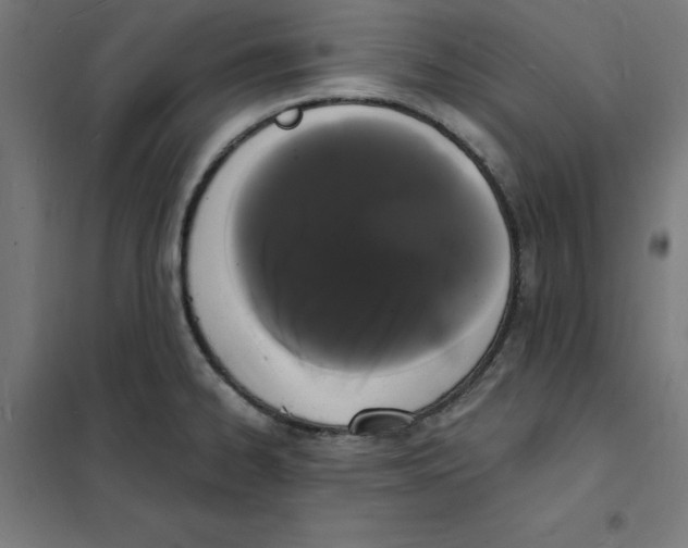 X0000101671334200808071036