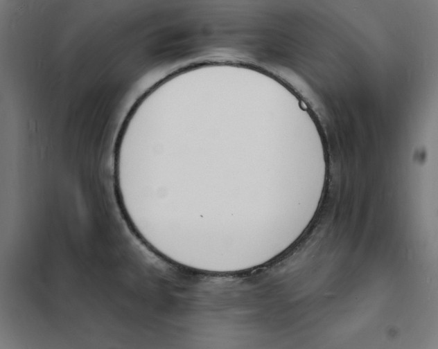 X0000101671335200808071036