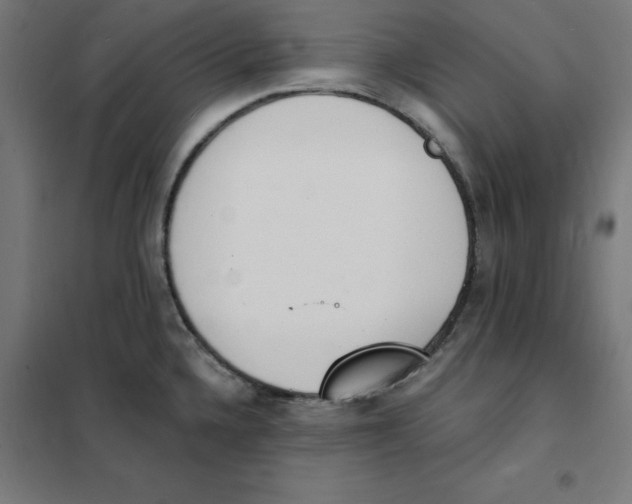 X0000101671336200808071036