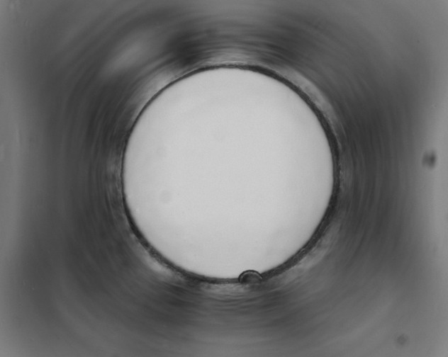 X0000101671337200808071036