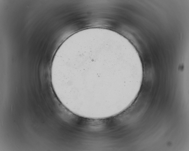X0000101671338200808071036