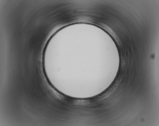 X0000101671339200808071036