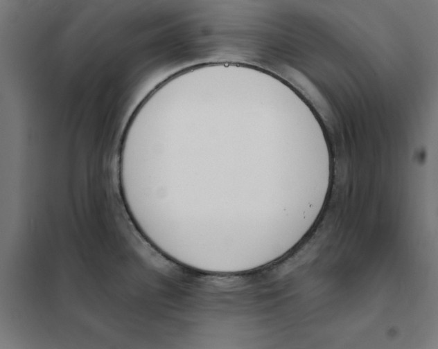 X0000101671340200808071036