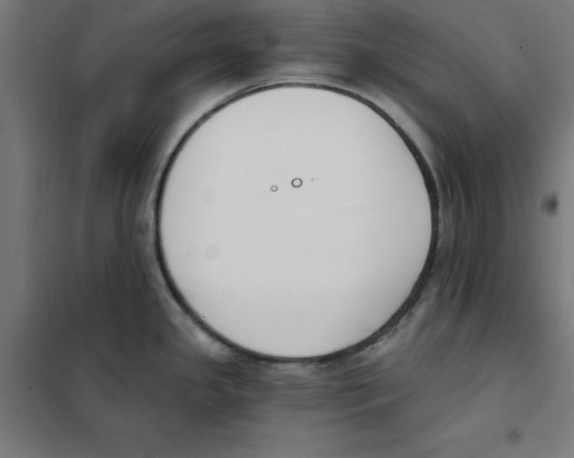 X0000101671341200808071036