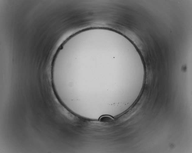 X0000101671342200808071036