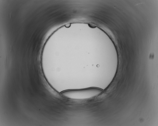 X0000101671344200808071036