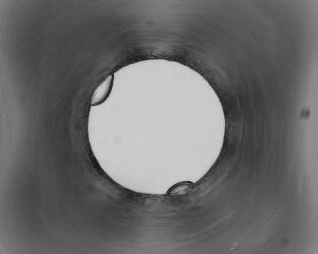 X0000101671345200808071035