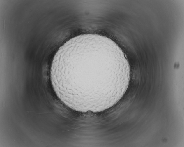 X0000101671346200808071035