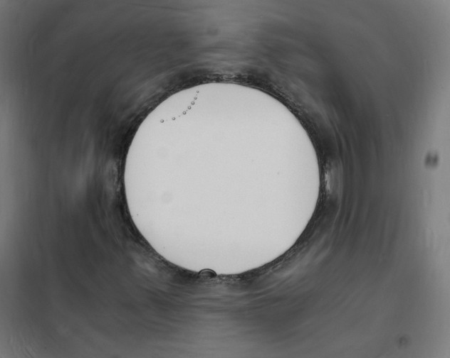 X0000101671347200808071035