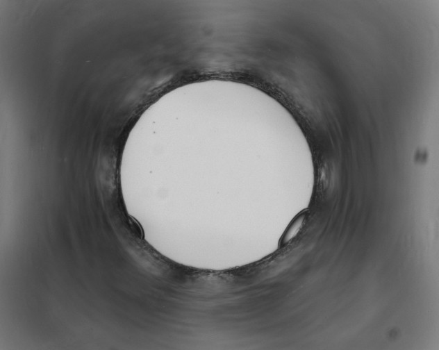 X0000101671348200808071035