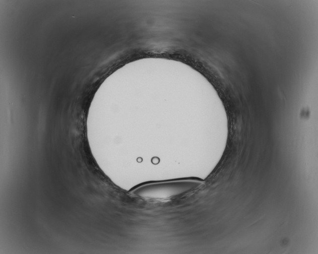 X0000101671349200808071035
