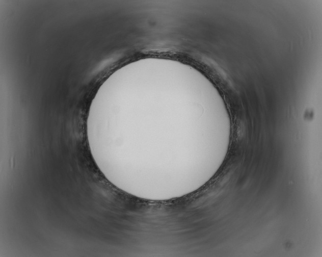 X0000101671350200808071035