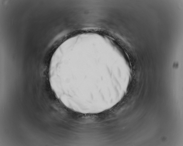 X0000101671351200808071035