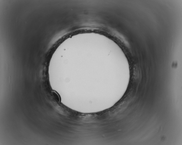 X0000101671352200808071035