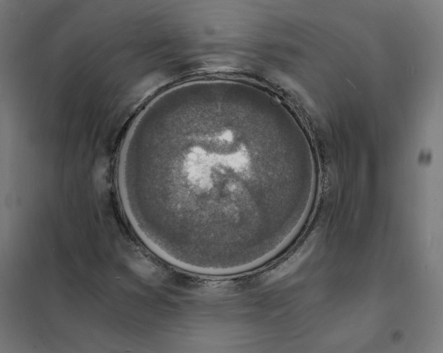 X0000101671353200808071035