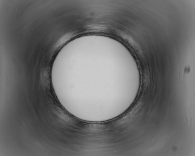 X0000101671354200808071035