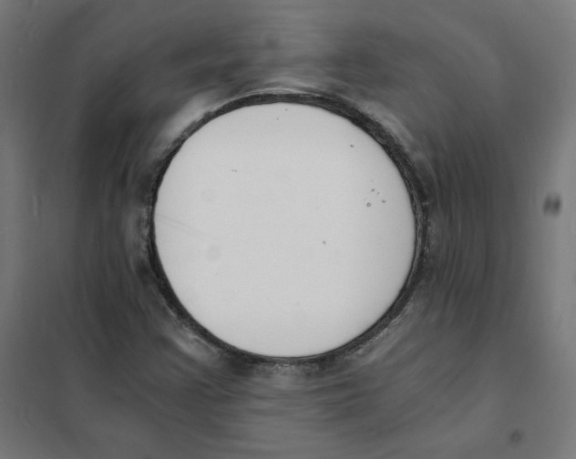 X0000101671355200808071035
