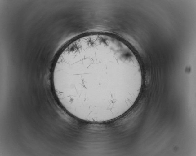 X0000101671356200808071035