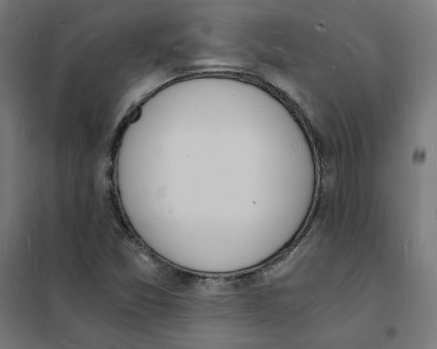 X0000101671357200808071035