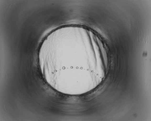 X0000101671358200808071035