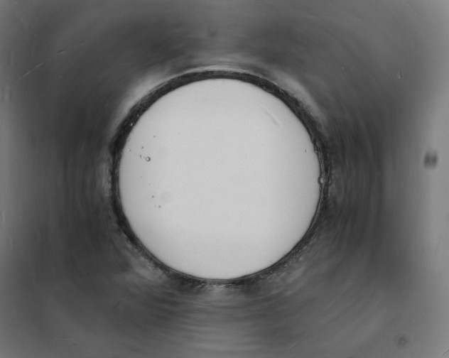 X0000101671360200808071035