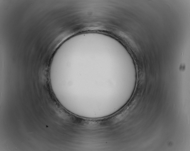 X0000101671361200808071035