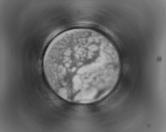 X0000101671362200808071035