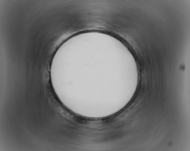 X0000101671363200808071035