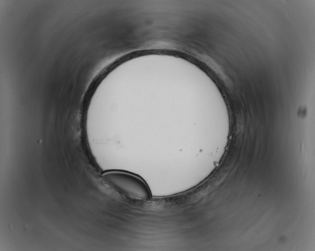 X0000101671364200808071035
