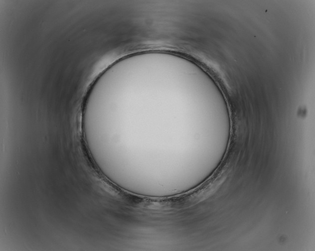 X0000101671365200808071035