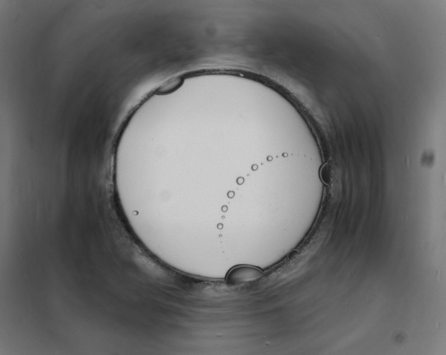X0000101671366200808071034