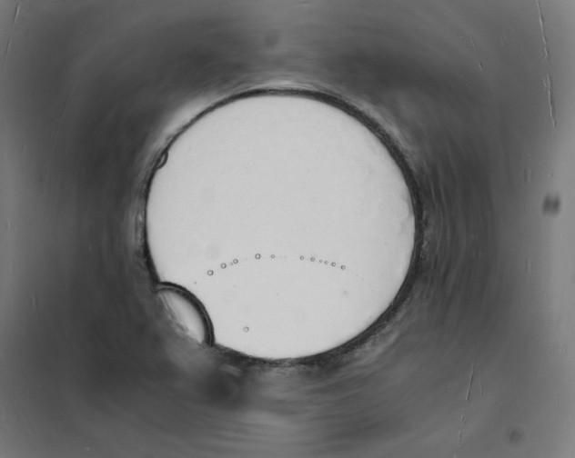X0000101671367200808071034