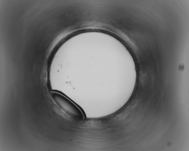 X0000101671368200808071034