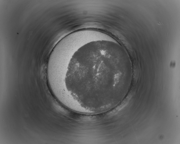 X0000101671369200808071034